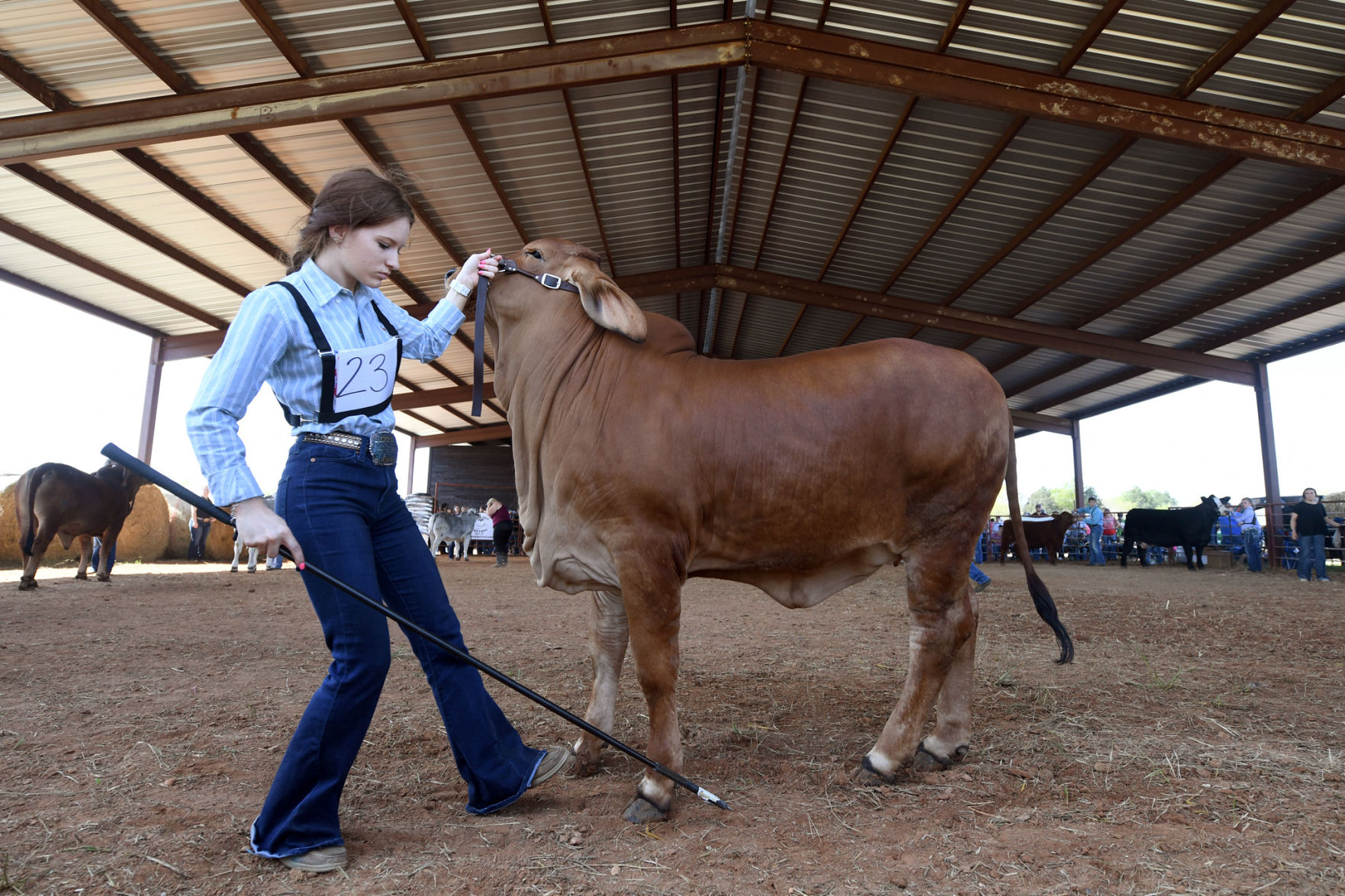 BTHO Coronavirus show